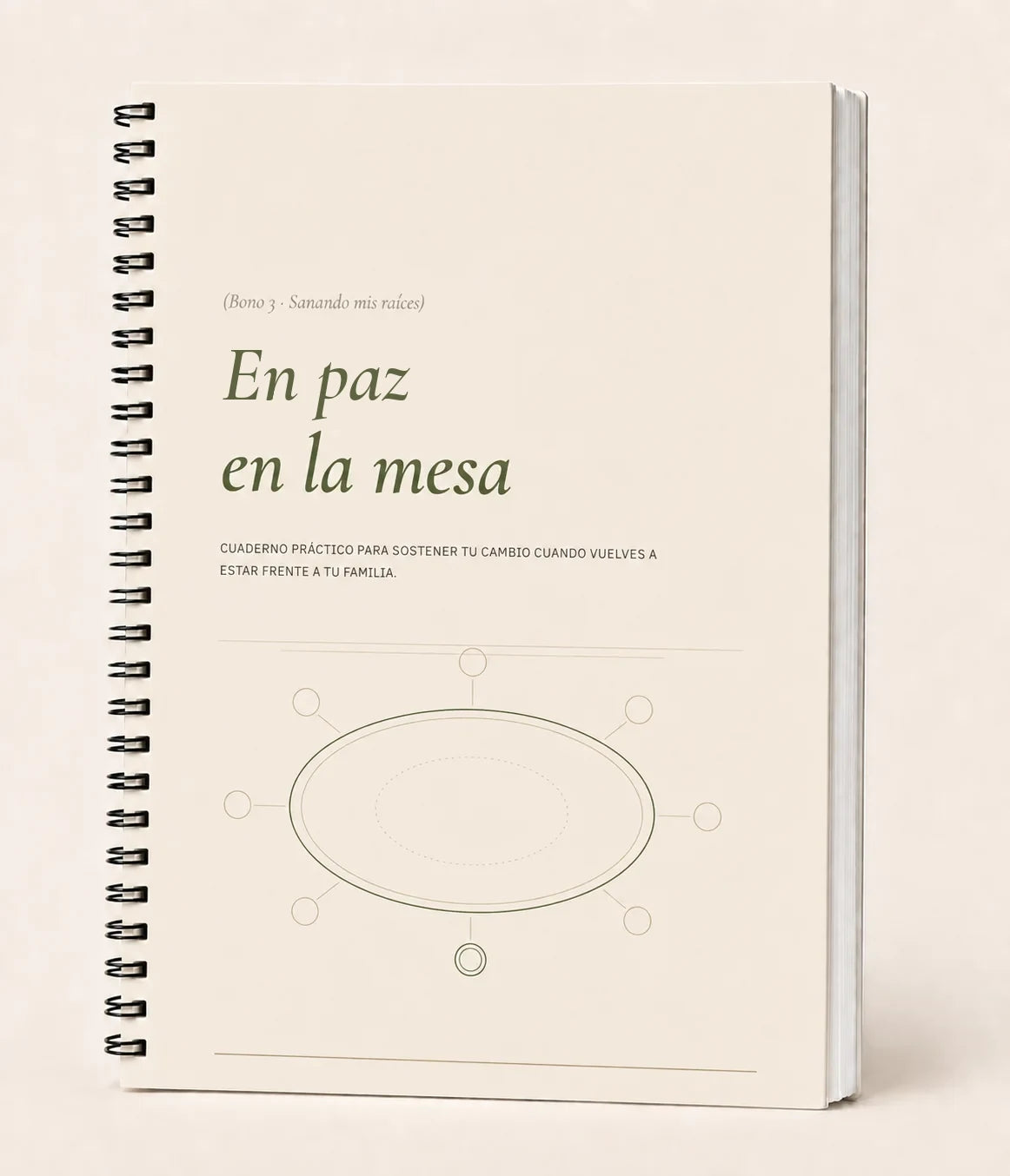 Portada de En paz en la mesa