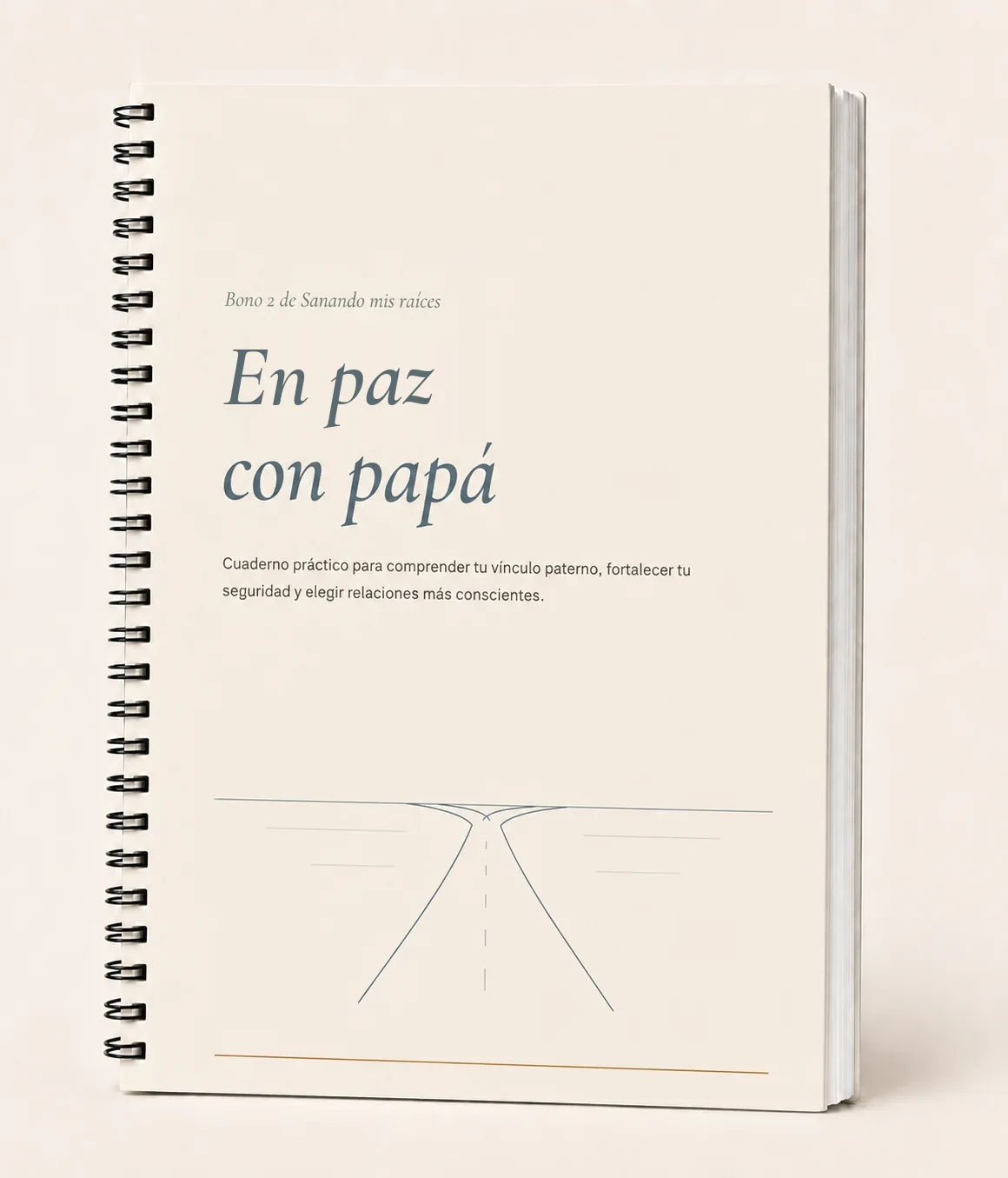 Portada de En paz con papá